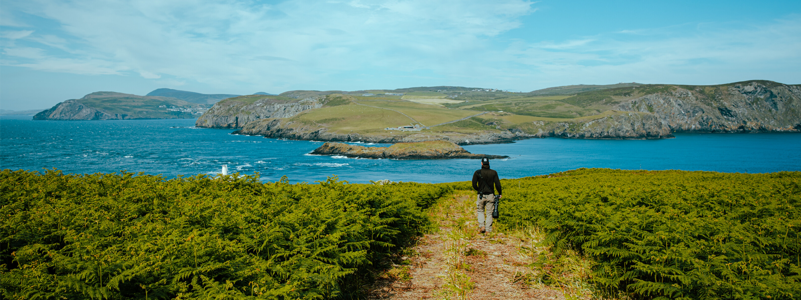 Man on a nature holiday on the Isle of Man. He's walking through ferns towards a cliff edge with his back to the camera. He holds a camera and views of the Calf of Man stretch out in front of him.